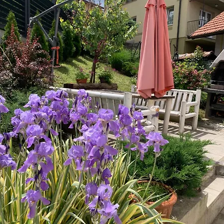 Salman * سراييفو